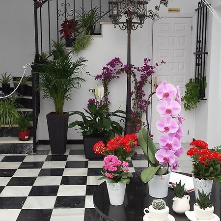 Hospederia Rural Las Buganvillas 엘로시오 외부 사진