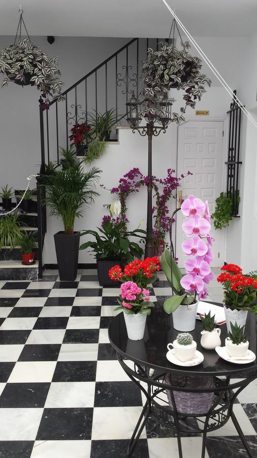 Hospederia Rural Las Buganvillas 엘로시오 외부 사진