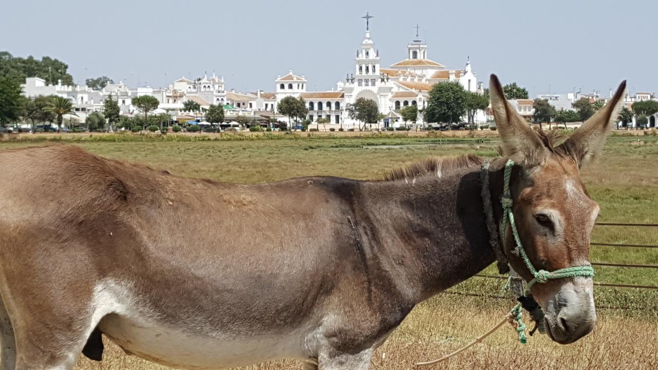 Hospederia Rural Las Buganvillas 엘로시오 외부 사진
