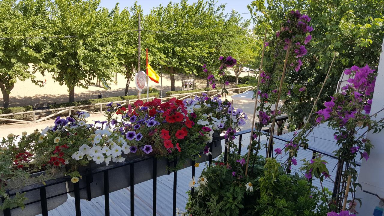 Hospederia Rural Las Buganvillas 엘로시오 외부 사진