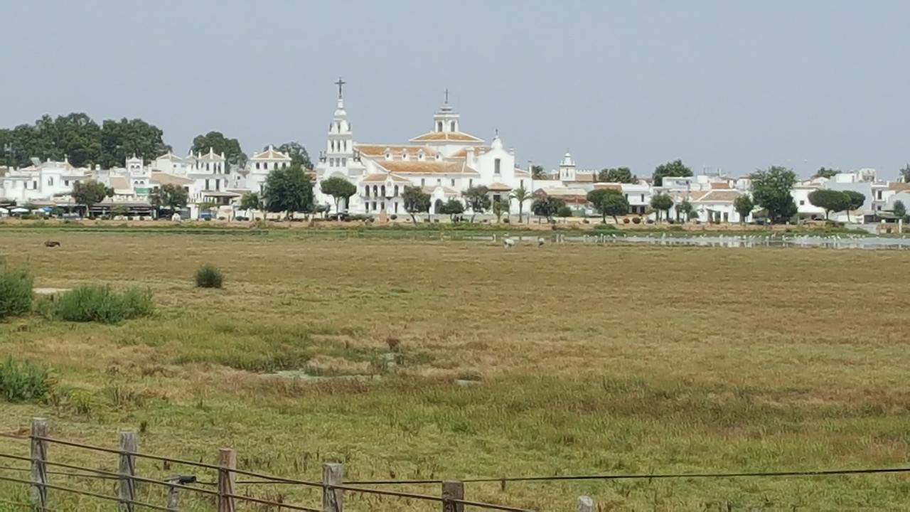 Hospederia Rural Las Buganvillas 엘로시오 외부 사진