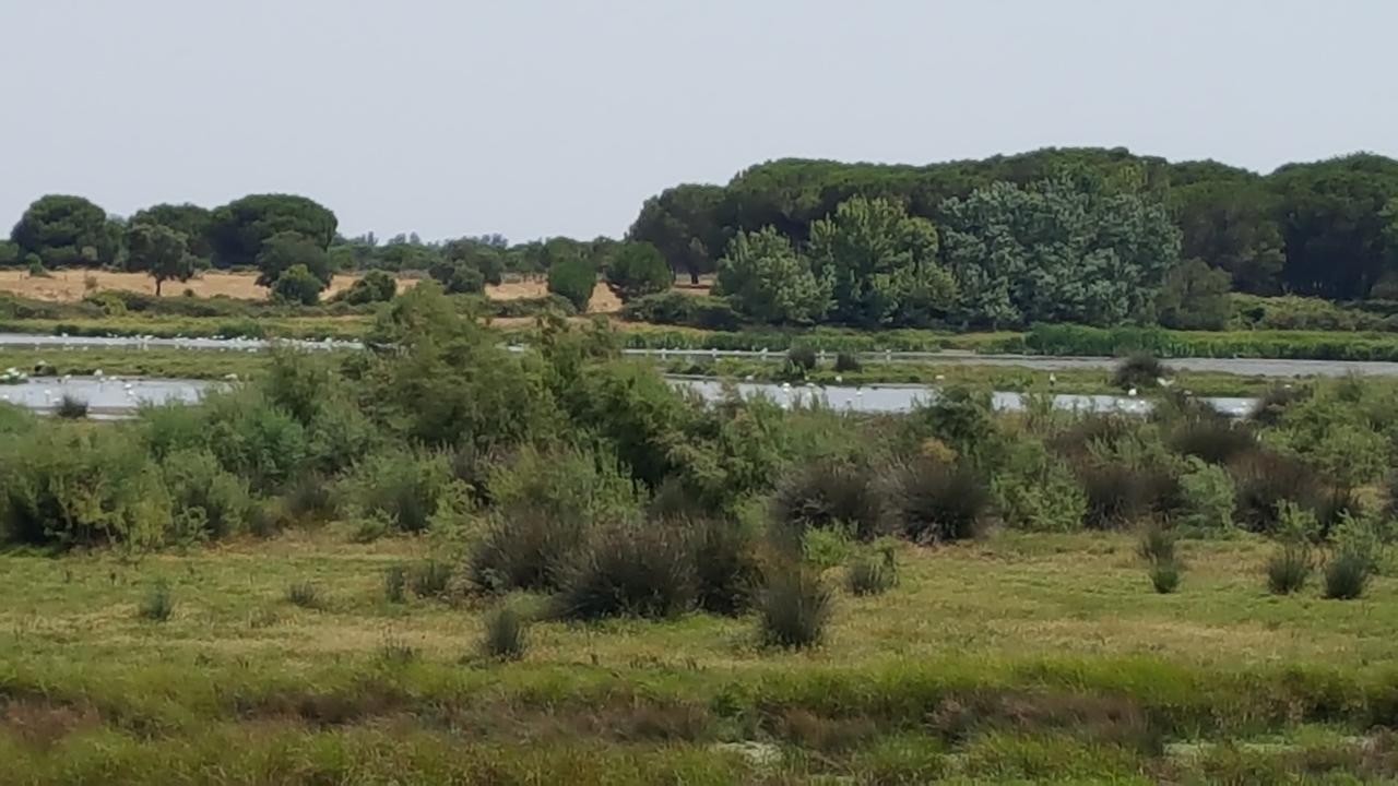 Hospederia Rural Las Buganvillas 엘로시오 외부 사진