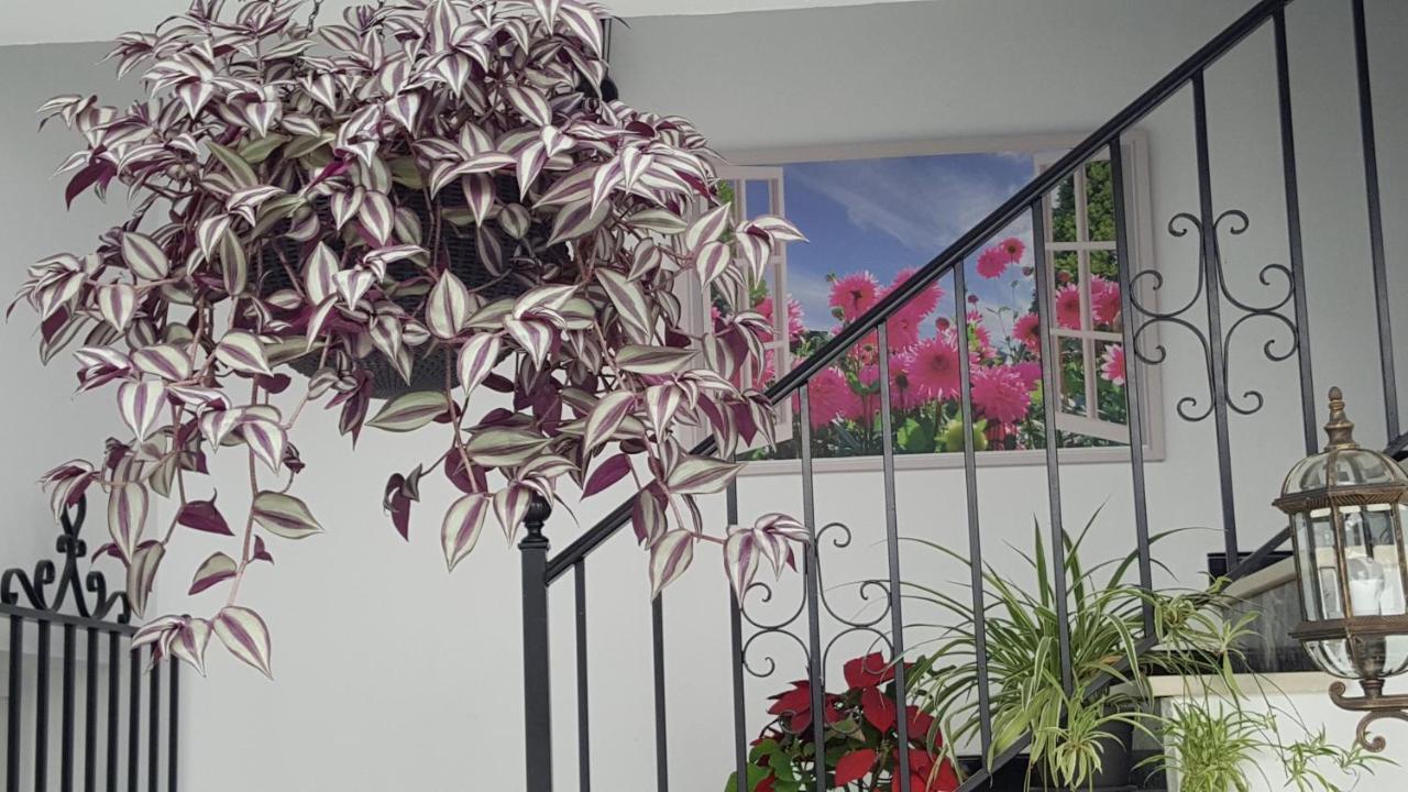 Hospederia Rural Las Buganvillas 엘로시오 외부 사진