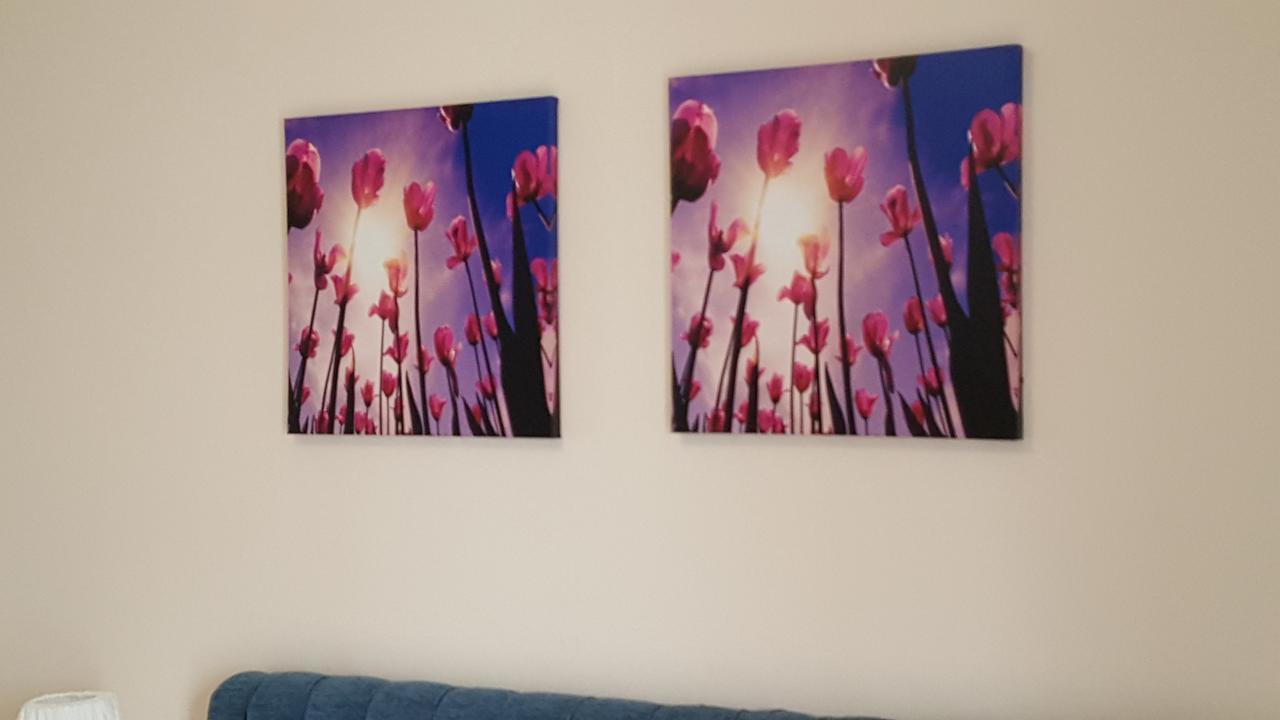 Hospederia Rural Las Buganvillas 엘로시오 외부 사진